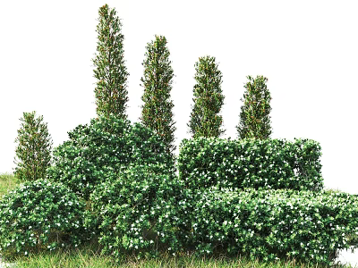 Lush Green Shrubs With Layered Heights And Dense Foliage In Garden Landscape 3d model