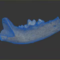 Highly Detailed Game Movie Character Skeleton Jawbone Featuring Sharp Teeth Structure