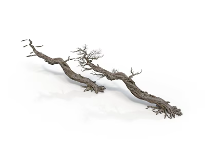 Natural Dried Tree Branches With Curved Shape Roots And Small Branches In Natural State 3d model
