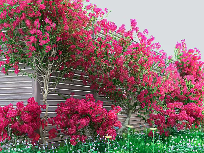 Lush Vines Covered With Red Flowers Against Wooden Fence And Green Grass 3d model