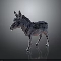 3D Model Gray Donkey Foal Standing On Dark Background With Shiny Coat