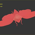 Colorful Moth With Red Orange Wings And White Body On Dark Background