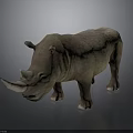 Realistic Rhinoceros 3D Model With Single Horn And Grayish Brown Skin Standing Pose
