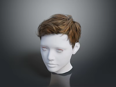 White Human Head Model With Brown Short Hair And Visible Facial Organs 3d model