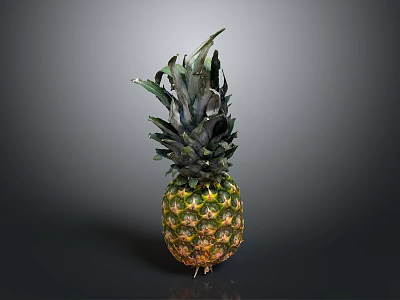 Fresh Ripe Pineapple With Green Leafy Crown And Juicy Texture On Dark Background 3d model
