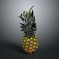 Fresh Ripe Pineapple With Green Leafy Crown And Juicy Texture On Dark Background