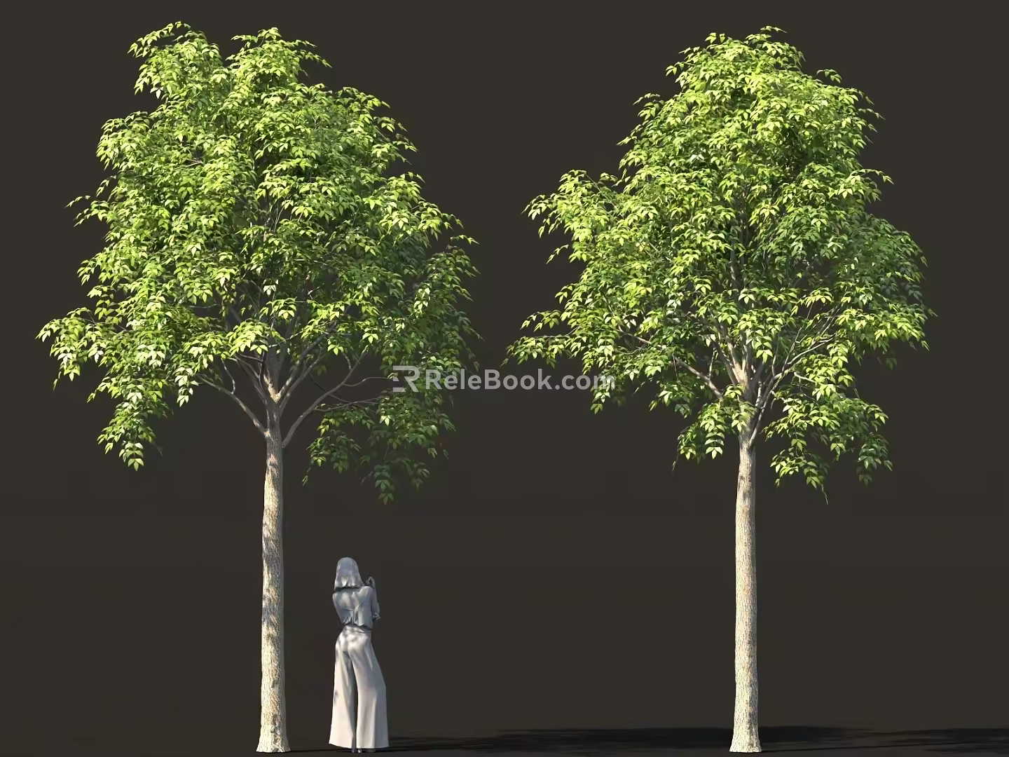 Landscape Trees Garden Trees Street Trees Bird's Eye View Trees Old Trees 3d model