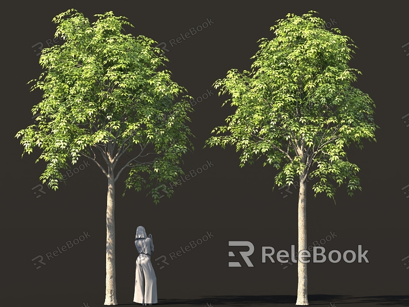 Landscape Trees Garden Trees Street Trees Bird's Eye View Trees Old Trees model