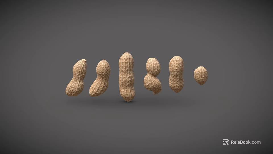 Fresh Whole Peanuts With Various Sizes And Shapes Arranged On Gray Background 3d model 