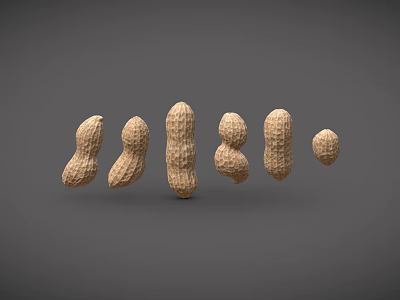 Fresh Whole Peanuts With Various Sizes And Shapes Arranged On Gray Background 3d model