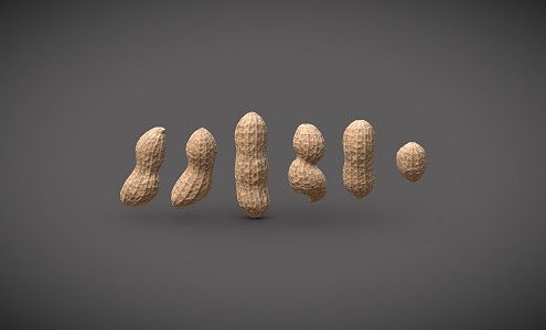 Peanut Double Rice Peanut Three Shelves Peanut 3d model