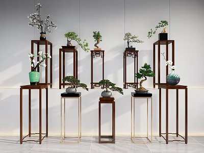 Modern Wooden and Metal Plant Stands with Bonsai and Potted Orchid Plants 3d model