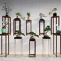 Modern Wooden and Metal Plant Stands with Bonsai and Potted Orchid Plants