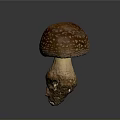 Brown Mushroom With White Spots And Root On Dark Background Isolated 3d model