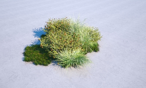 grassland shrub combination 3d model