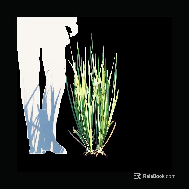 Lush Green Grass With Visible Roots Beside White Silhouette Figure 3d model 