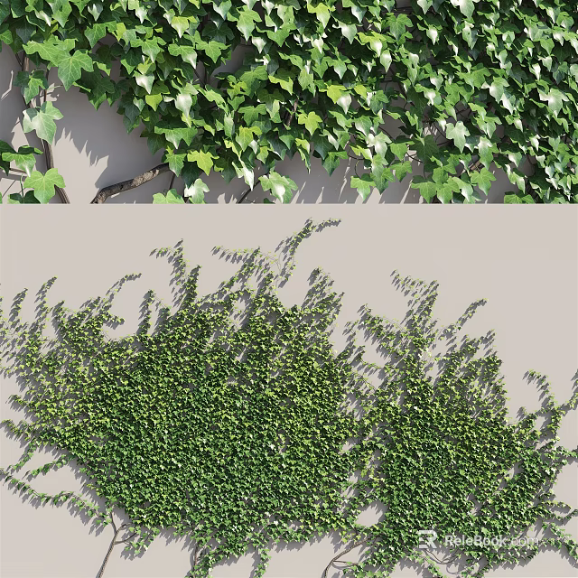 Lush Green Climbing Vines Covering Wall With Fresh Foliage And Natural Decoration 3d model 