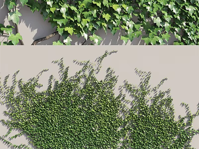 Lush Green Climbing Vines Covering Wall With Fresh Foliage And Natural Decoration 3d model