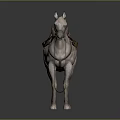 White Horse With Leather Saddle Stirrups And Bridle On Gray Reflective Ground