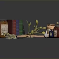 Daily Life Items With Books Jars Open Notebook Feather And Small Plant