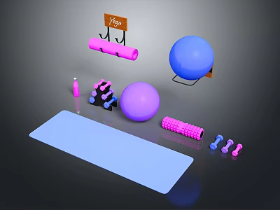 Yoga Equipment Collection Including Mat Balls Foam Roller Dumbbells Hanger And Spray Bottle 3d model
