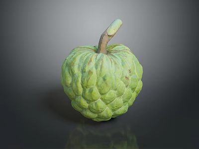Fresh Ripe Green Custard Apple With Textured Surface And Brown Stem 3d model