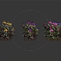 Colorful Decorative Plants With Red Purple Yellow Blue Flowers And Green Leaves