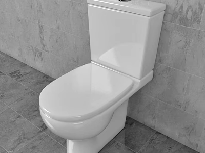 Modern White Toilet in Bathroom With Marble Wall and Floor Tiles 3d model