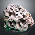 Stunning Green Porous Coral Structure With Intricate Natural Hole Patterns