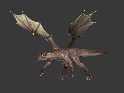 3D Dragon Model With Grayish Brown Scaled Body Detailed Wings And Sharp Claws 3d model