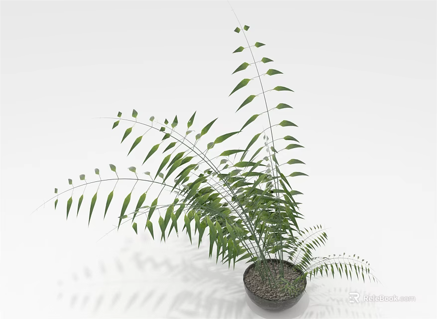 Green Indoor Plant With Long Slender Leaves In Dark Pot On White Background 3d model 
