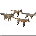 Four Realistic Fox Figurines in Standing Pose with Brown and Gray Fur on White Background