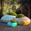 Bonsai Potted Plants With Stone Shaped Ceramic Pots And Green Grass Foliage