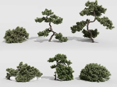 Various Shaped Garden Trees With Lush Foliage And Curved Branches 3d model