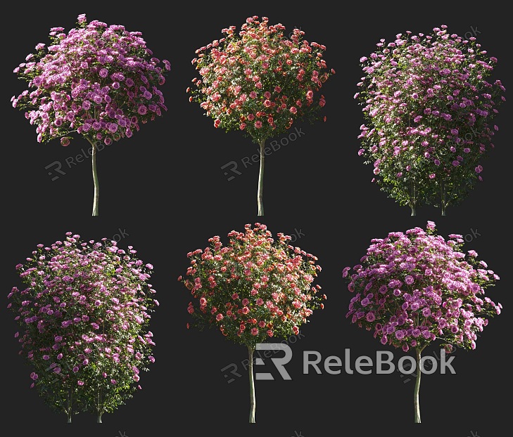 Rose Shrub Flowering Trees Plant Rose Tree Rose Tree Flowering Plant Liane Courtyard Garden Climbing Rose Pink Red Rose model