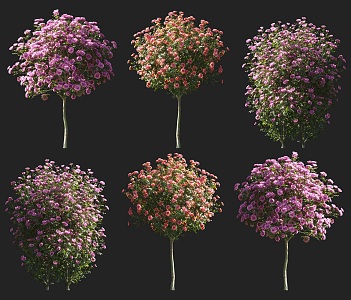 Rose Shrub Flowering Trees Plant Rose Tree Rose Tree Flowering Plant Liane Courtyard Garden Climbing Rose Pink Red Rose 3d model