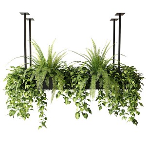 modern hanging basket plant hanging basket potted plant green plant hoisting green plant 3d model