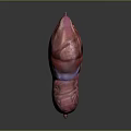 Human Internal Organs 3D Model Showing Detailed Anatomy Structure And Layout 3d model