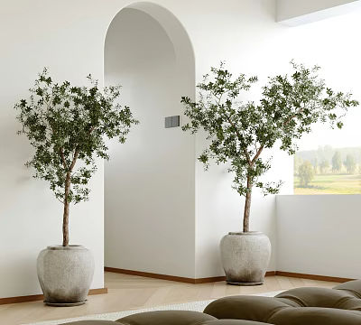 Lush Potted Trees In White Room With Arched Doorway And Outdoor View Through Window 3d model