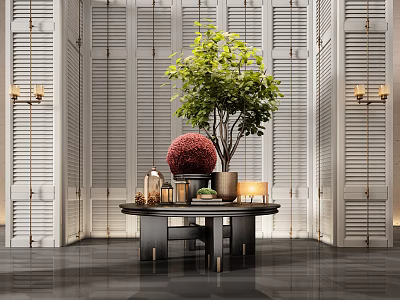 Decorative Ornament Set on Black Round Table with White Louvered Wall and Green Plant 3d model