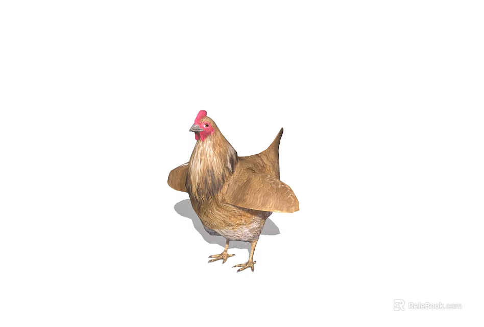 Realistic Brown Chicken With Red Comb Feathered Wings And Standing Posture 3d model