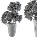 Shower Sauna Area With Black Textured Planter Holding Dried Plants Decoration