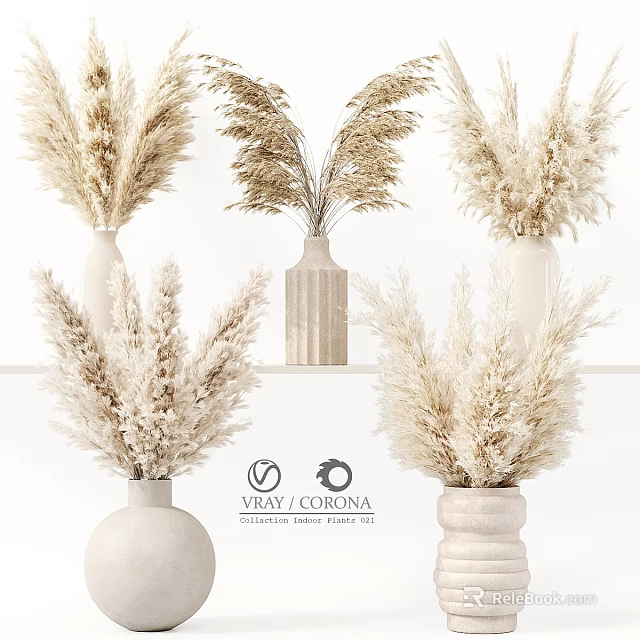 Decorative Ornament Set with Pampas Grass in Various Designed Vases Neutral Tones Home Decor 3d model 