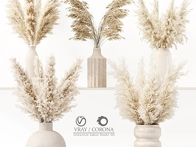 Decorative Ornament Set with Pampas Grass in Various Designed Vases Neutral Tones Home Decor 3d model