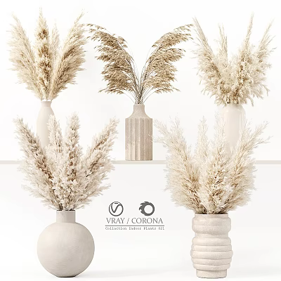 Decorative Ornament Set with Pampas Grass in Various Designed Vases Neutral Tones Home Decor 3d model