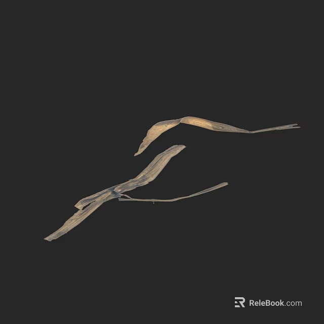 Dried Herb Leaves In Natural Form On Black Background With Yellowish Brown Color 3d model 