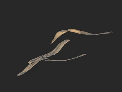 Dried Herb Leaves In Natural Form On Black Background With Yellowish Brown Color 3d model