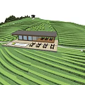 Scenic Green Hillside Landscape With Terraced Fields Pond Winding Path Small Building Under Blue Sky