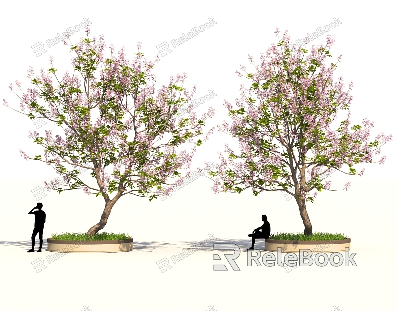 Suzuki flower tree landscape sketch park garden model