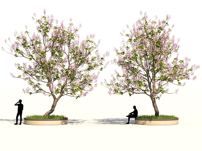 Suzuki flower tree landscape sketch park garden model